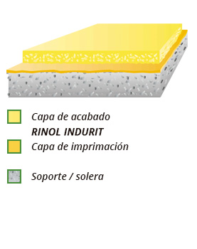 esquema rinol indurit
